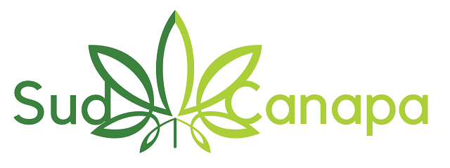 Sudcanapa-2018-1